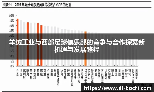 羊绒工业与西部足球俱乐部的竞争与合作探索新机遇与发展路径